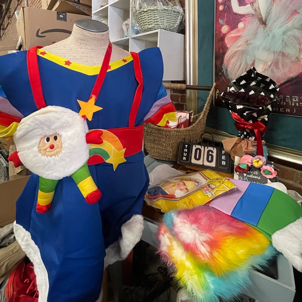 RAINBOW BRITE
1980S COSTUME with wig all included